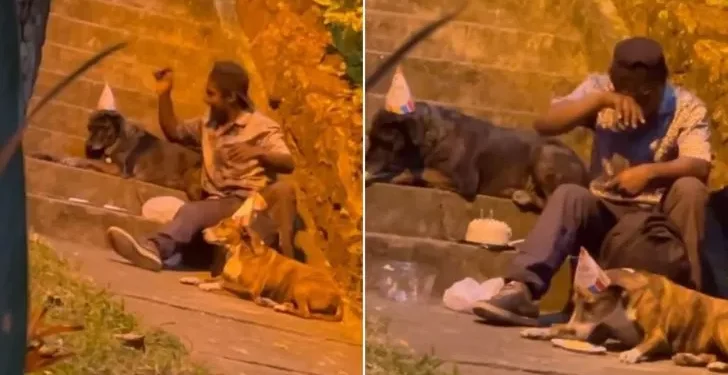 Homeless Man Spotted Organising a Birthday Party for His Dogs