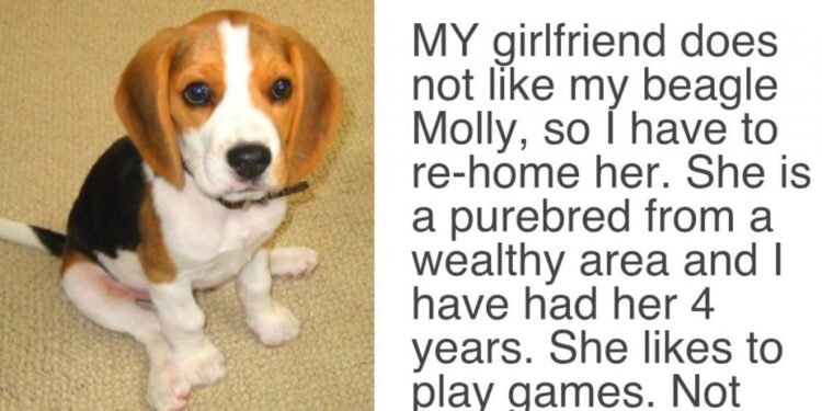 Girlfriend Presents Partner with a Choice: It’s Either the Dog or Her