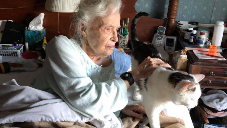 How A 20-Year-Old Shelter Cat And His 101-Year-Old New Mom Found Happiness In Each Other