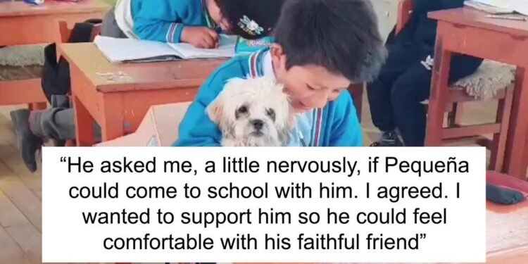 Student Experiencing Difficulties Asks If His Dog Can Attend School With Him