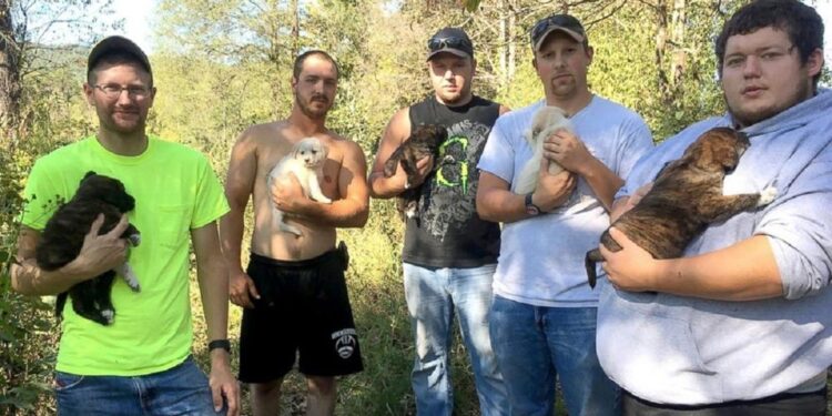 They Gave Up Their Bachelor Party to Rescue Puppies in the Woods