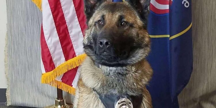 Police Dog Gets His Final Farewell on Radio Call