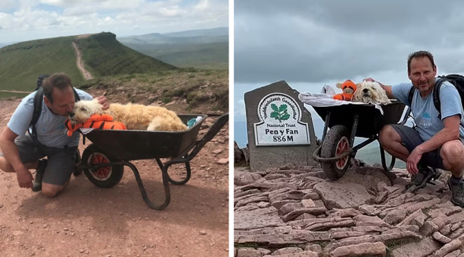 Video: Man Carries His Ill Dog Up Beloved Mountain in a Wheelbarrow for One Final Journey