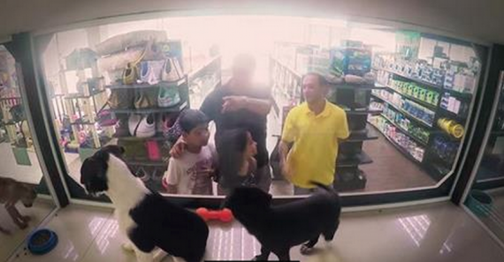 Pet Store Swaps All Animals for Rescues for a Day