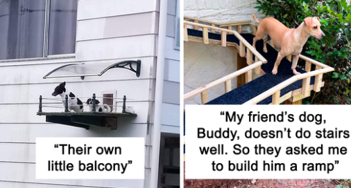 25 Moments Dogs Deserved Luxurious Houses And People Accepted The Challenge