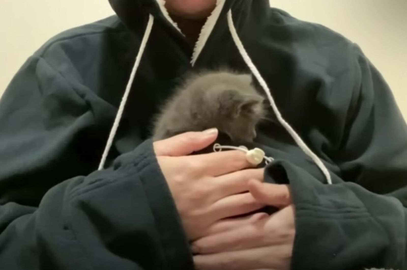 woman holding a kitten