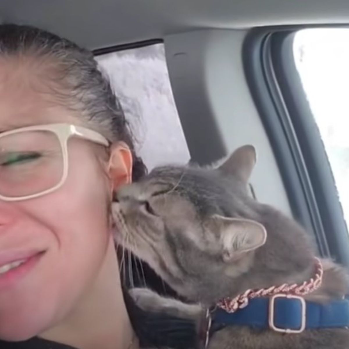 cat licking woman's face