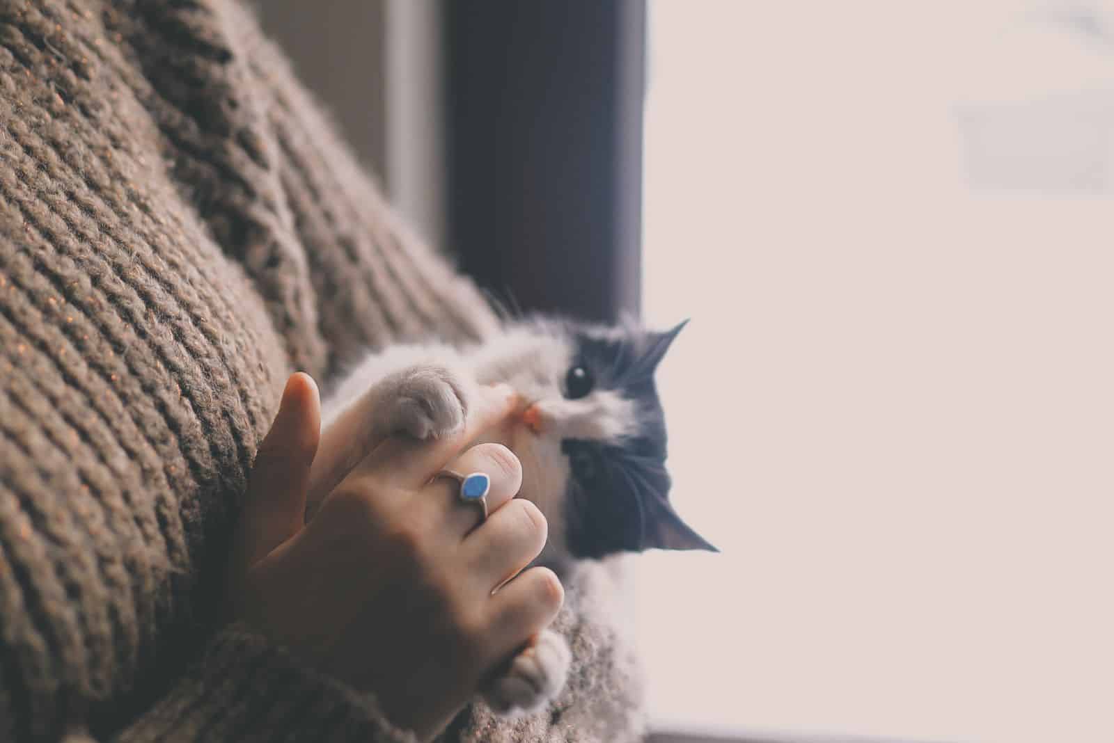 woman holding a cat