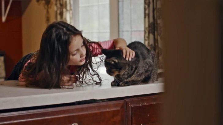 Unwanted Shelter Cat And An Autistic Girl Form A Special Bond And Change Each Other’s Worlds