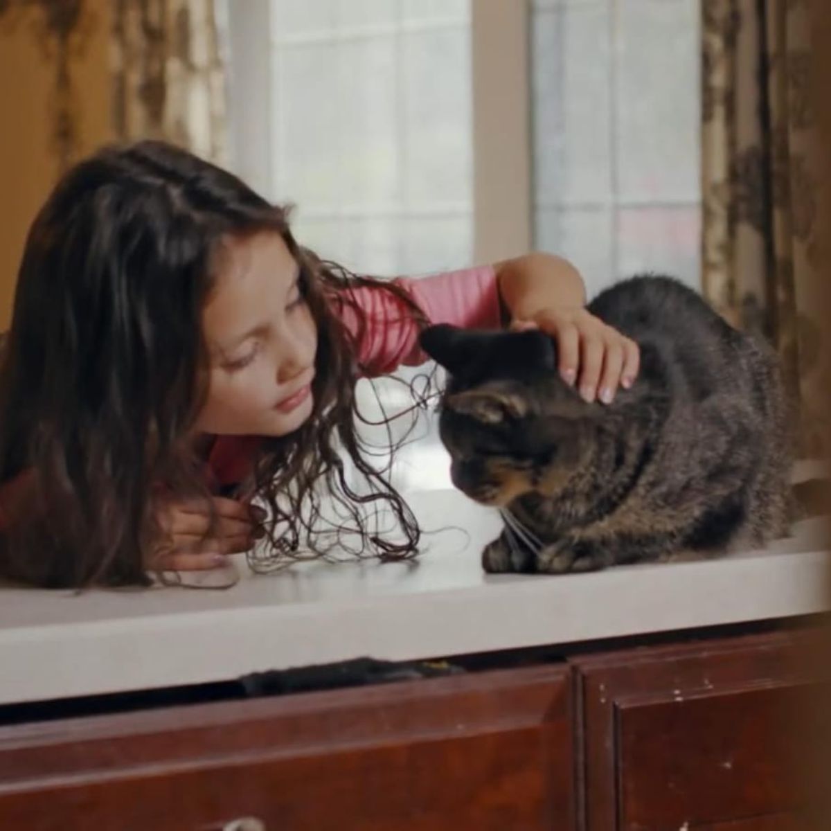 girl petting the cat