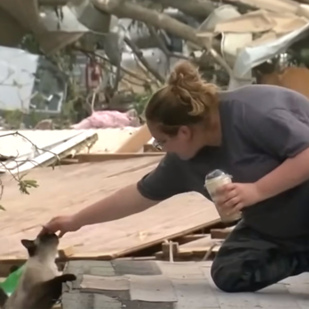 woman petting the cat