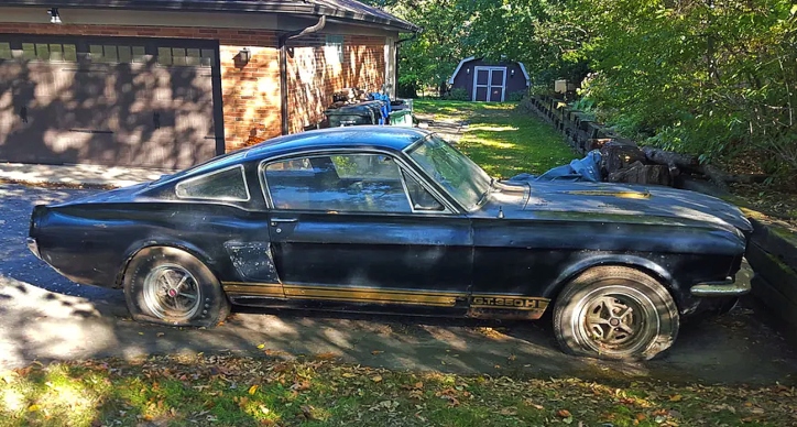 1966 shelby gt350h