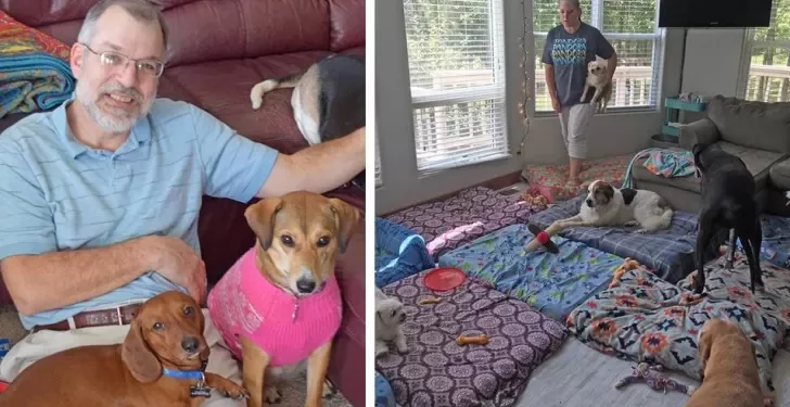 This Man Made a Place to Help Old Dogs That Couldn’t Find a Home.