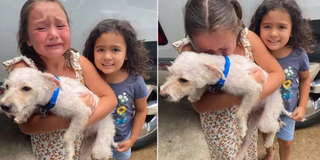 San Antonio Family Reunites with Lost Dog After Two Heartfelt Months