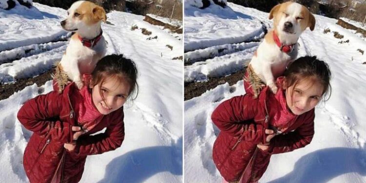 Little Girl Braves Through Heavy Snow To Get Help For Her Sick Dog.