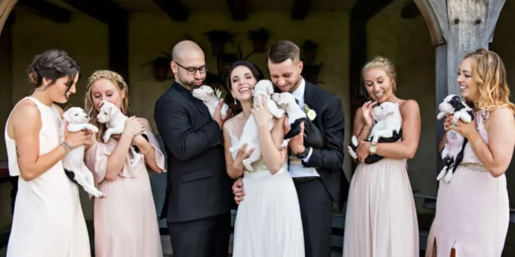 Brides Ditch Flowers for Puppies: The Heartwarming Wedding Trend Taking 2023 by Storm!