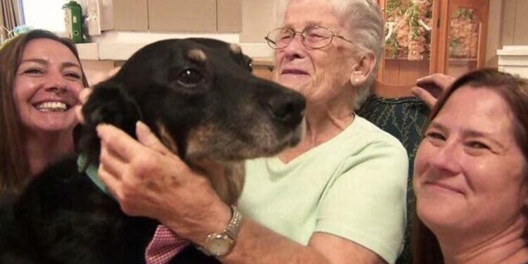 Dog Continually Breaks Out Of Shelter To Comfort Residents In A Care Home