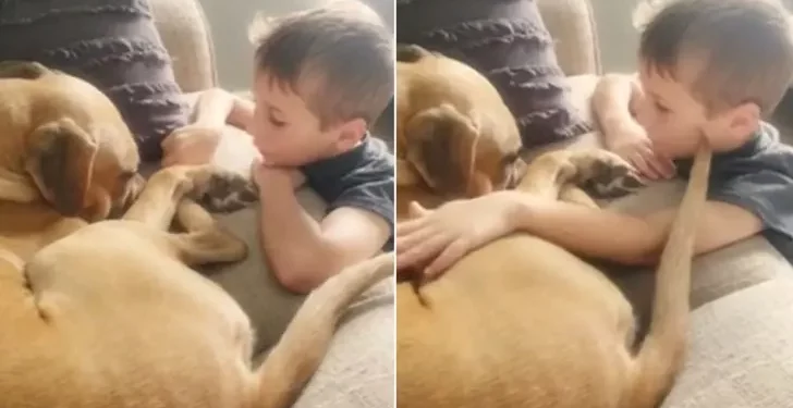 Young Boy Comforts His Distressed Rescue Dog, Reassures He’s ‘Greatly Loved’