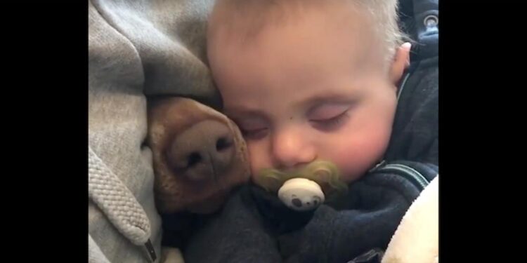 Mother Records Her Baby Napping When a Snout Appears Next to Him