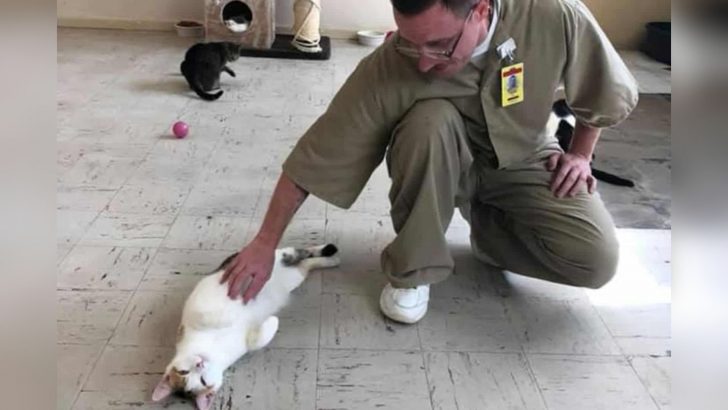 Inmates At Indiana Prison Get New Furry Friends To Brighten Their Days