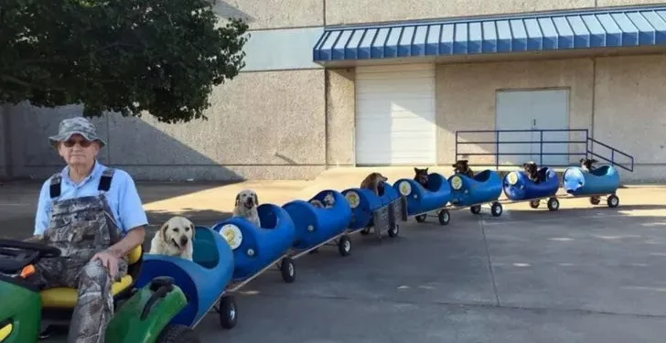 Old Man Constructs A Dog Train For His Adventurous Pups