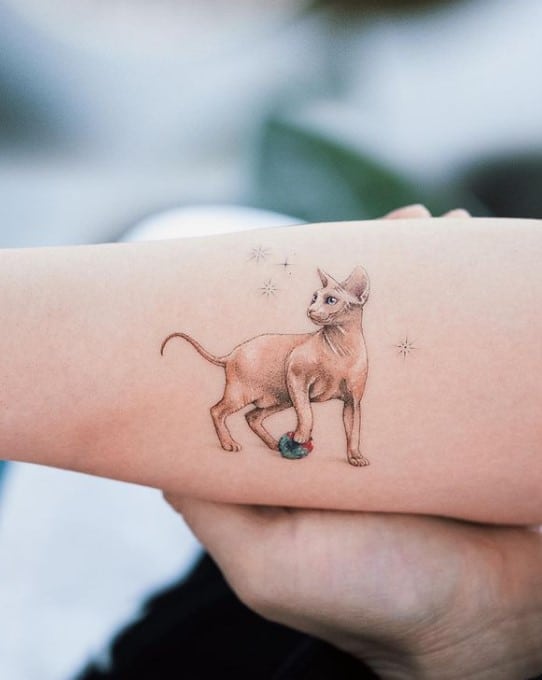 Awesome Sphynx Tattoo