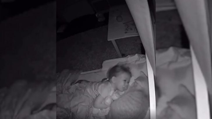 Watch This Baby’s Reaction When She Wakes Up And Sees Her Cat Next To Her