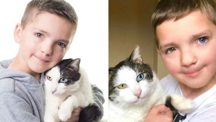 Bullied Oklahoma Boy Finds A True Friend In A Cat With The Same Rare Condition