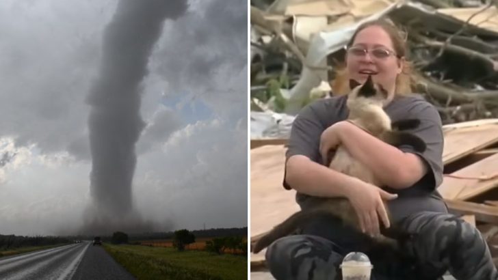 Cat Miraculously Survives Tornado In Oklahoma And Reunites With Owners In Live News Broadcast