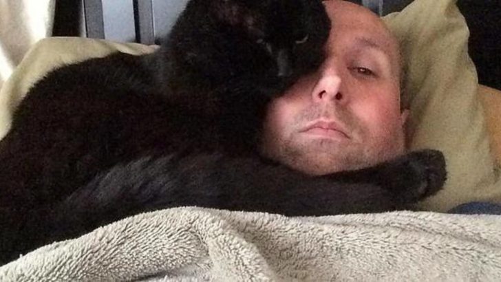 Stray Black Cat’s Fortunes Change When He Encounters A Kindhearted Man