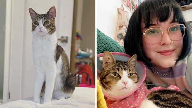 Cat Shares Rare Condition With Her Owner And Their Connection Feels Like Destiny