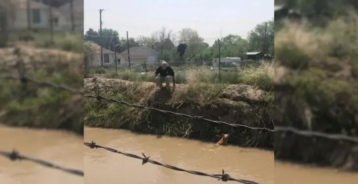 Police Captain’s Daring Rescue Saves Dog from Utah Canal