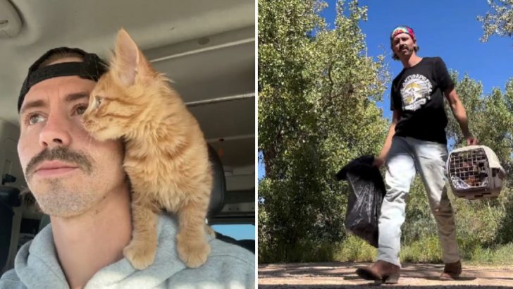 Guy Rescues An Orange Kitten And Gains A Companion On His Cross-Country Cleaning Adventures