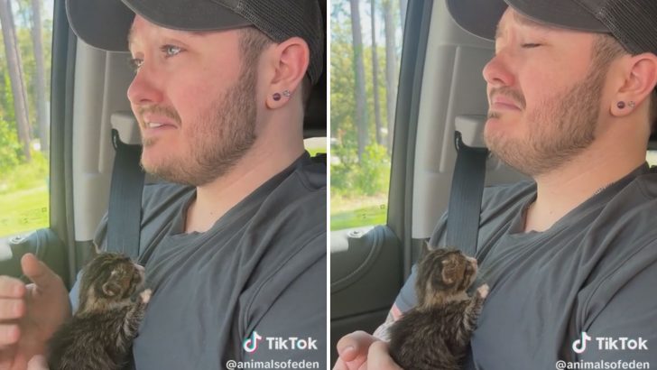 Man Goes To Starbucks Drive-Thru For Coffe And Gets A Tiny Furball For Free