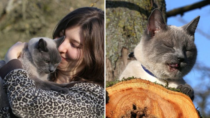 Heartfelt Confession Of A Woman Whose Cat Saved Her From The Claws Of Depression