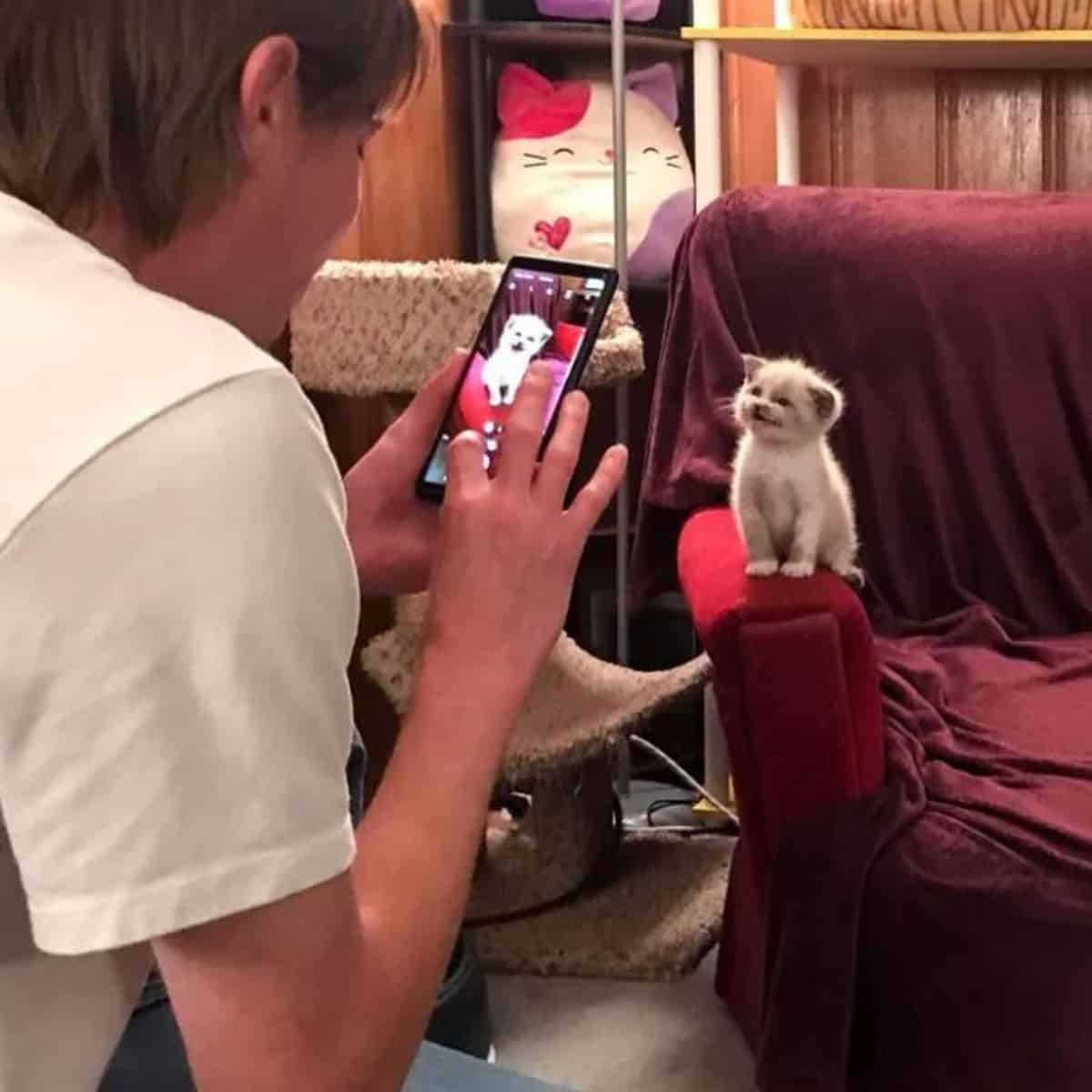 Lauren taking a photo of the kitten on a sofa