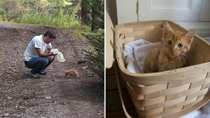 Virginia Man Finds A Frail Kitten Abandoned In The Woods And Offers Him A Fighting Chance