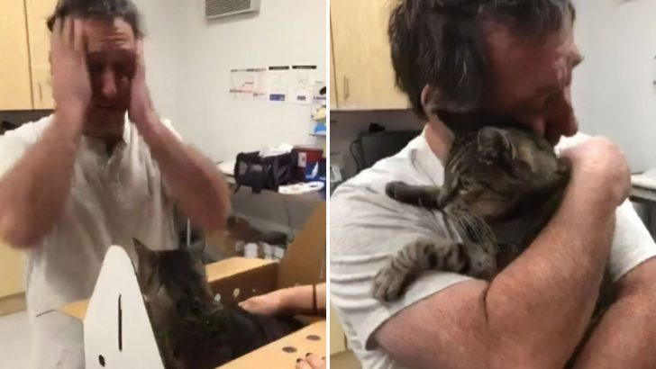 Man Thought He’d Never See His Beloved Cat Again But 7 Years Later, Something Amazing Happened