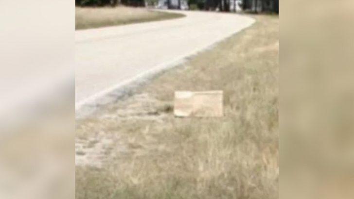 Man Shocked After Discovering What Was Inside A Paper Bag Near Road In North Carolina