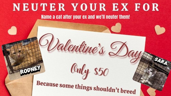 New Jersey Shelter Launches A ‘Neuter Your Ex’ Program For Valentine’s Day And People Love It