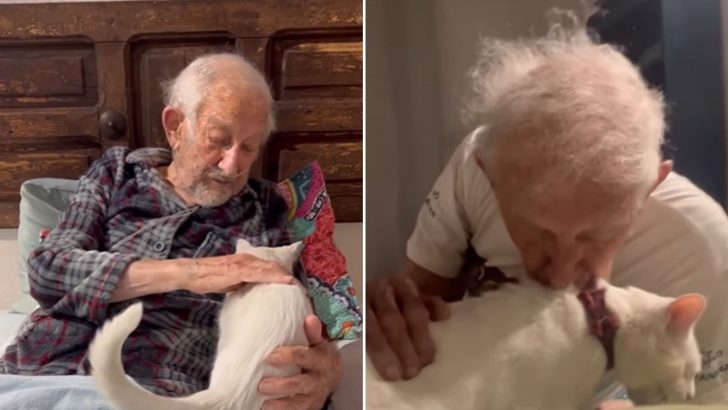 Elderly Man Bids Farewell To His Blind Cat For A Heartbreaking Reason