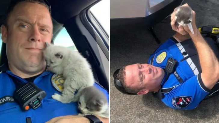 You Won’t Believe What This Police Officer Did With Two Tiny Kittens He Saved From A Car Bumper