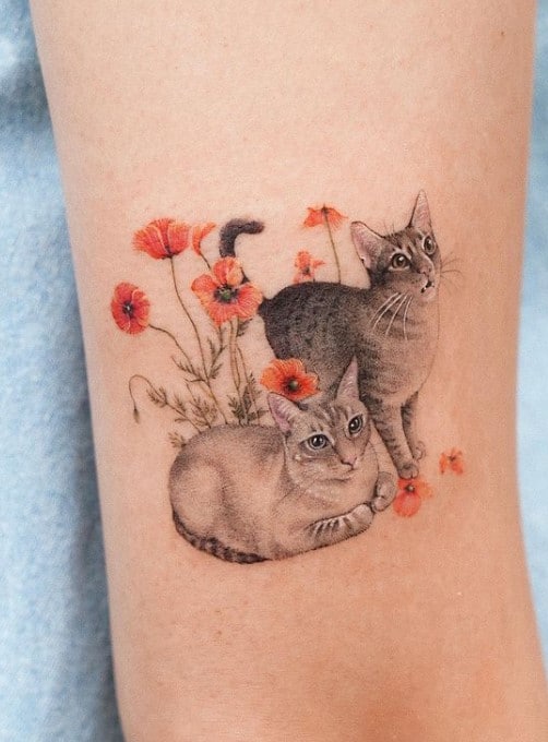 Poppy Flowers And Feline Beauties