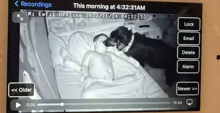 Adorable Puppy Secretly Enters Brother’s Room, Captured on Camera with a Touching Goal