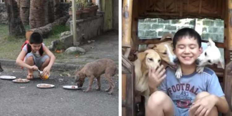 A 9-Year-Old Boy Uses His Savings to Feed Stray Dogs and Establish a No-Euthanasia Shelter