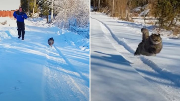 Speedy Cat Leaves Owner In The Dust Every Time They Go For A Run Outside