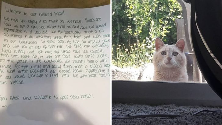 This Family Moves Into Their New Home Only To Discover A Surprising Note Regarding A Cat