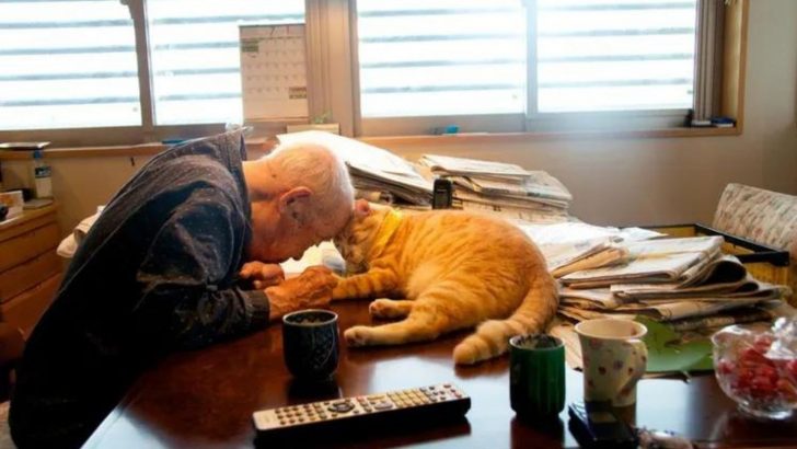 Woman Gets A Furry Surprise For Her Sick Grandpa And Brings Back A Smile On His Face