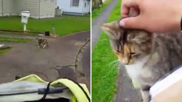 This Mailman Has The Cutest Furry Companion On His Daily Mail Delivery