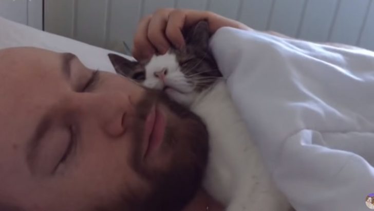 ‘Crooked’ Kitty Finds Home After A Long Wait And Her Bond With New Dad Is Beyond Adorable